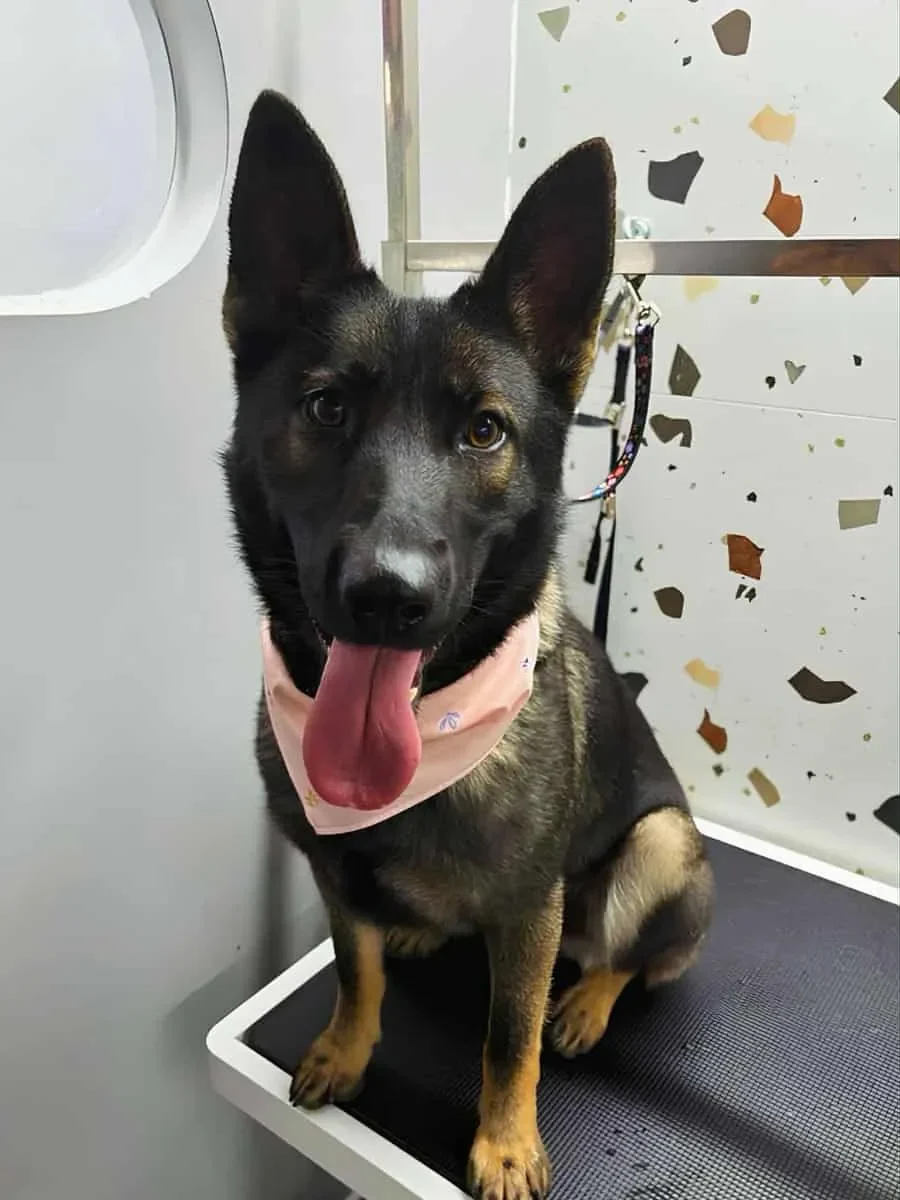 178b0fbc-8211-4958-90e5-8e8ede6d8a83