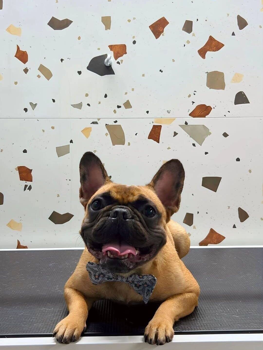 581817919_860184269854248_7603038863330908985_n