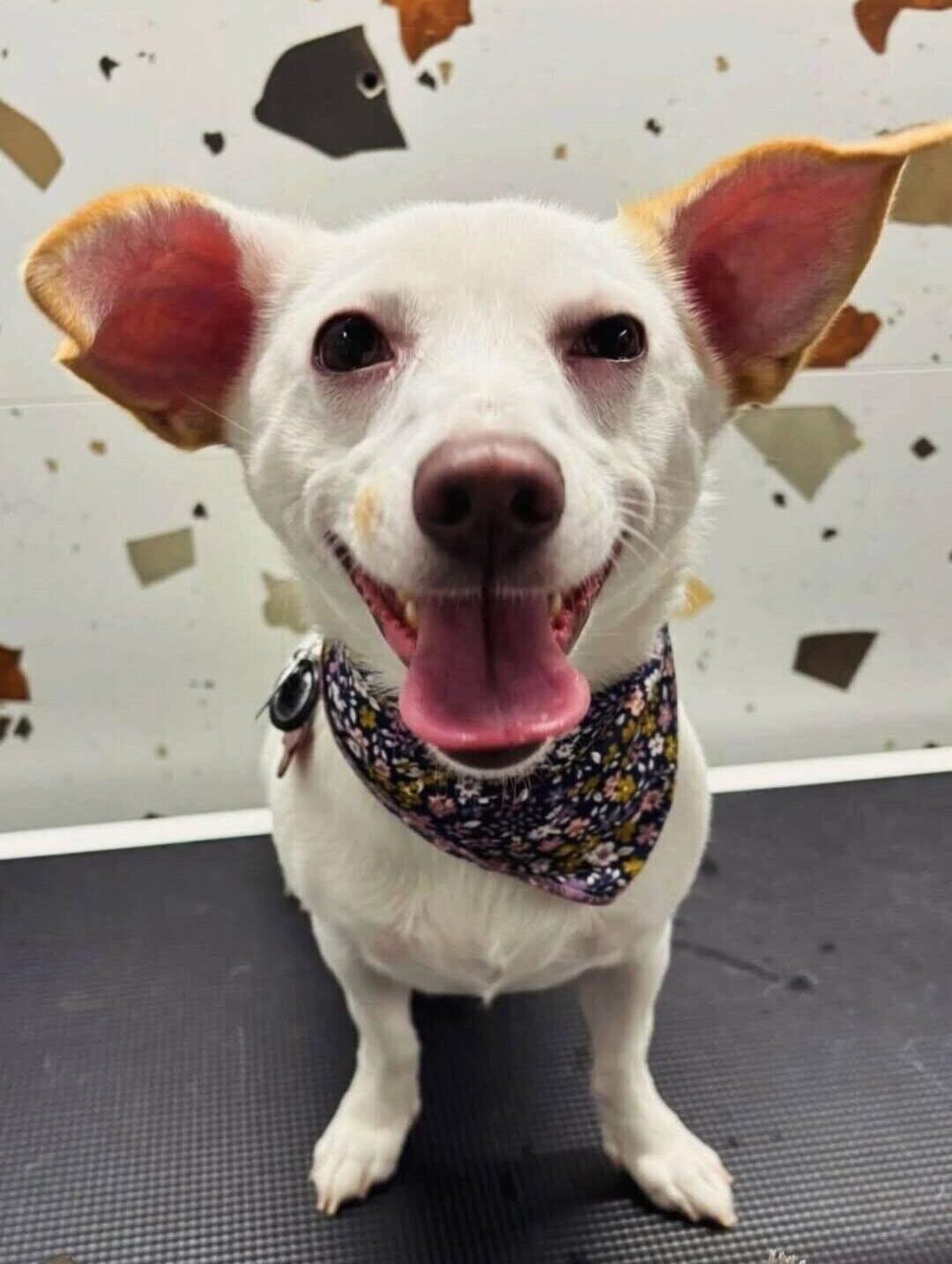 582432995_860184189854256_921133827190715389_n