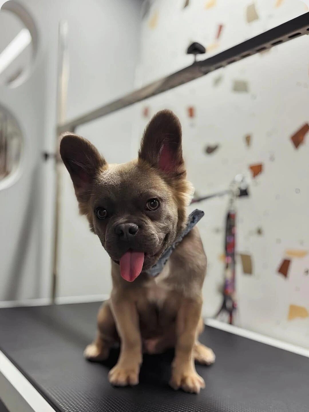 583694219_860184449854230_6361099942843500830_n