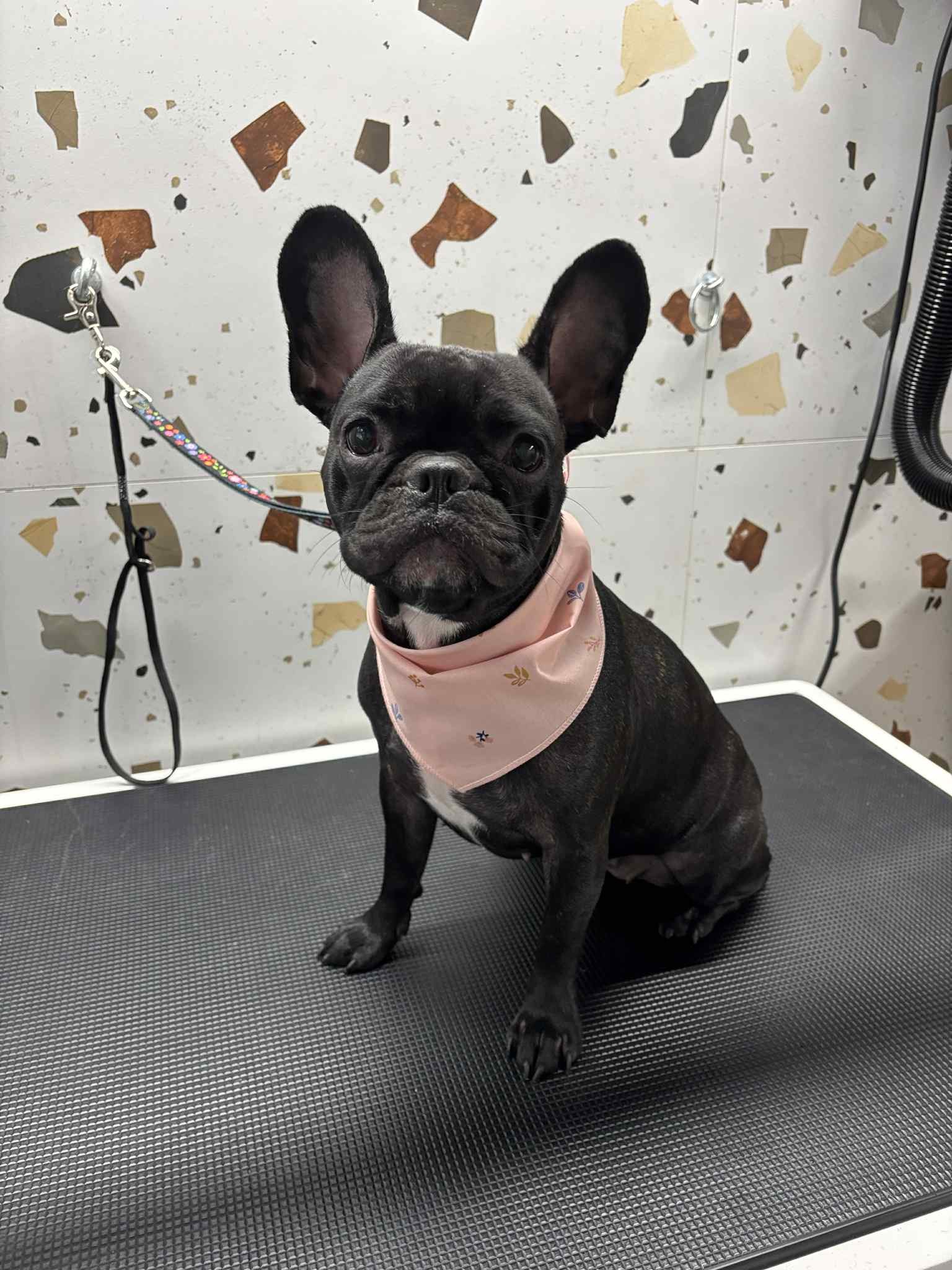 583924224_860184739854201_7970270820711703950_n