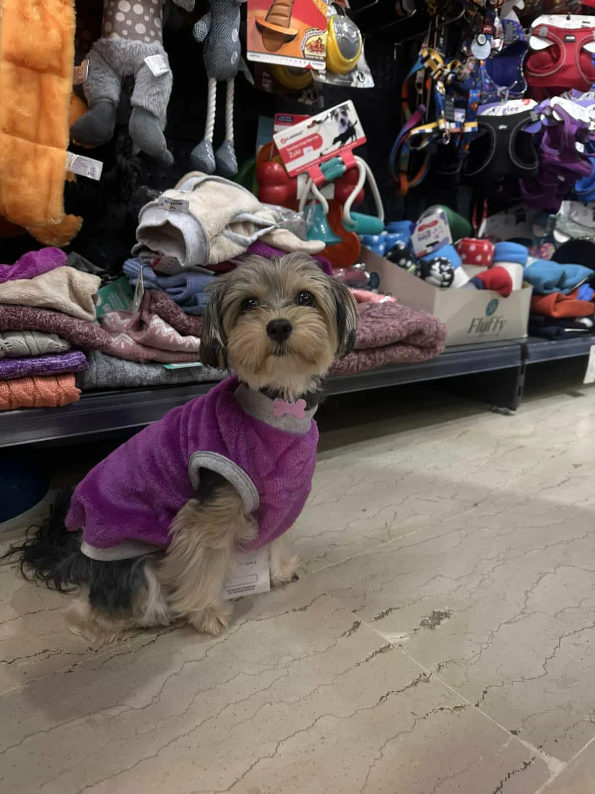 710c49b9-1b49-426e-a1d7-df81655d5070