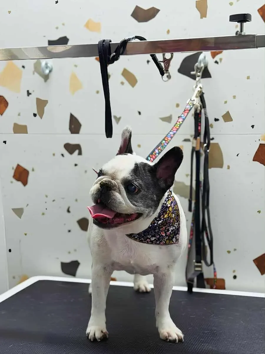 adf1e41d-c439-4871-8be8-ecd6aac85523