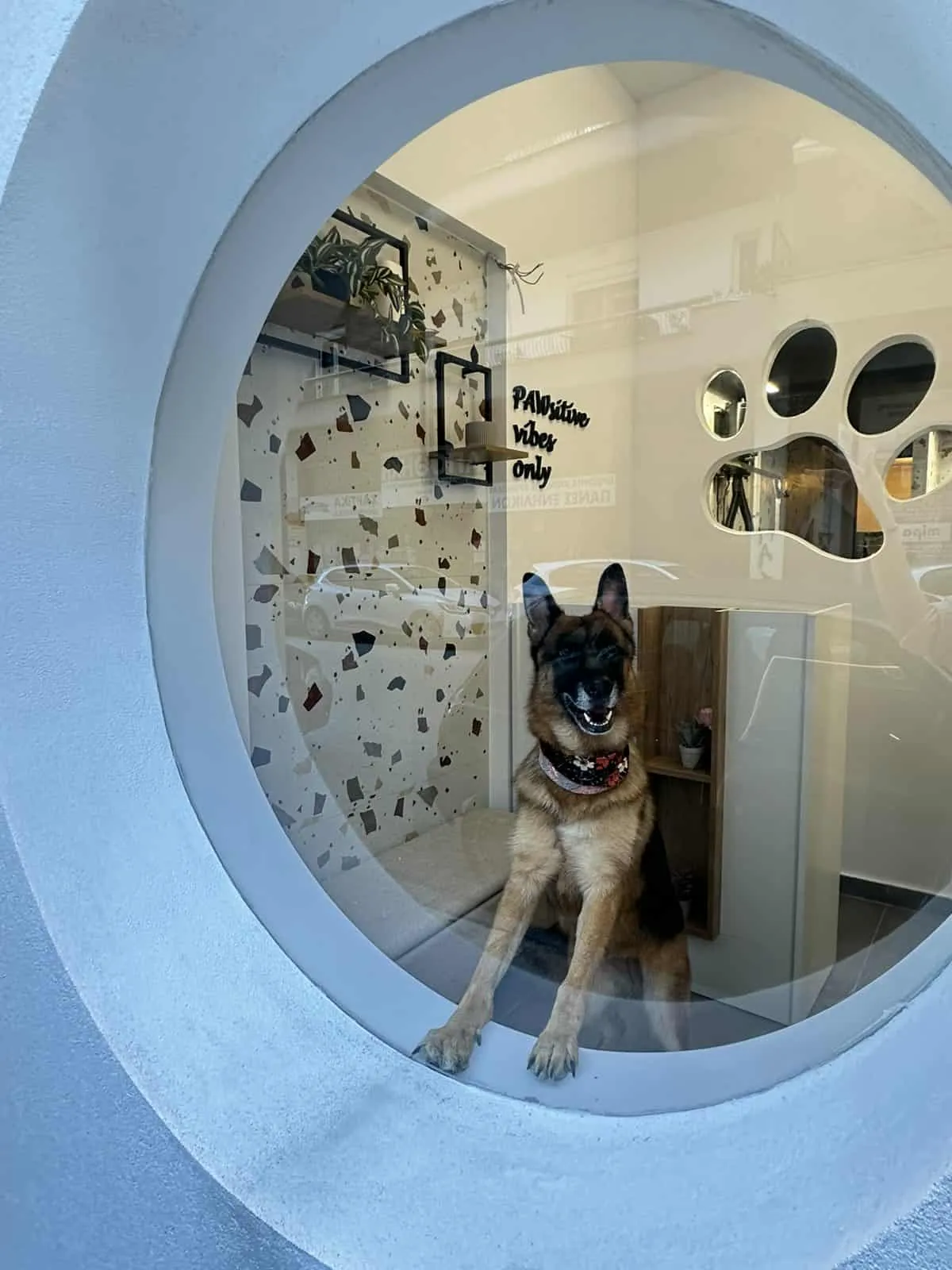 b666198c-6294-40ff-a67d-81cbd9a90c4c